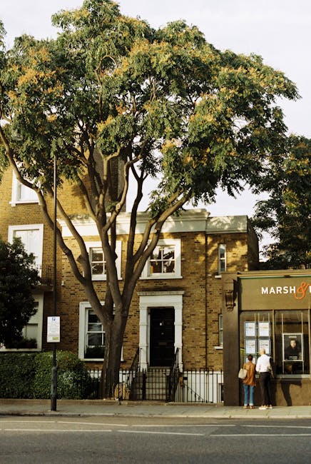 A three-storey brick residential building in Parsons Green with a white door and white-framed windows. In front of the house, a large leafy tree with a broad trunk and sprawling branches partially obscures the facade. To the right, there is a commercial property with large glass windows displaying merchandise and signage reading 'Marsh &', with two individuals standing on the pavement nearby. The scene is lit with natural daylight, and the street features a black metal fence, a streetlamp, and a parking sign. This setting illustrates a typical London neighbourhood context, where home and commercial properties coexist, relevant to house removals and moving services provided by Man with Van Parsons Green, who facilitate furniture transport and packing and moving procedures in such environments.
